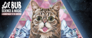 Illustration for article titled Internet cat Lil Bub is releasing her debut album, Science & Magic